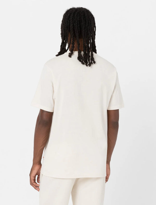 DICKIES Mapleton TEE
