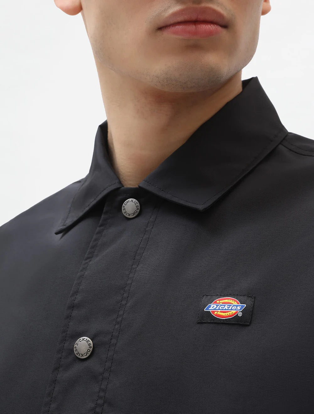 DICKIES Oakport Coach