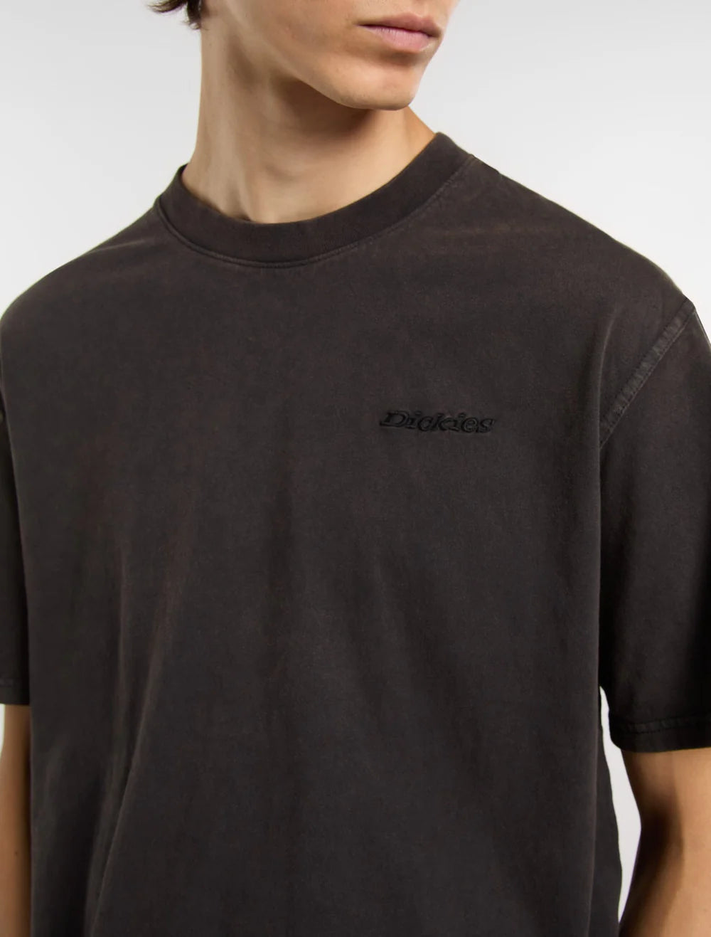 DICKIES Plentywood TEE