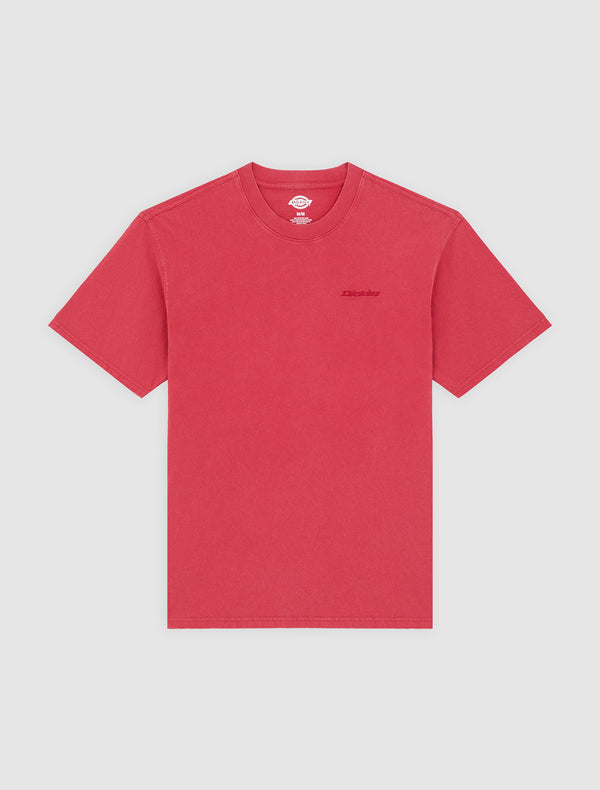 DICKIES Plentywood TEE