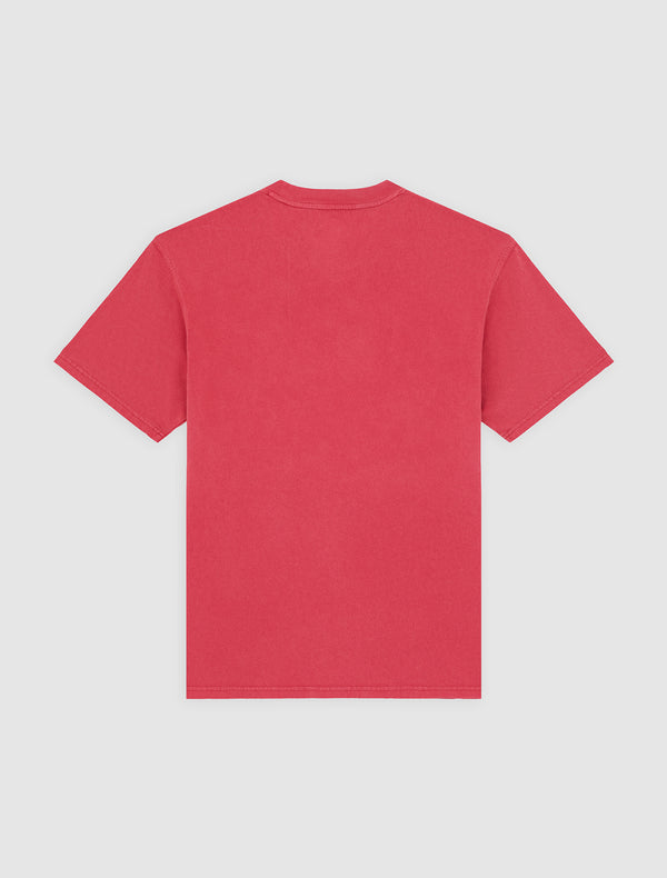 DICKIES Plentywood TEE