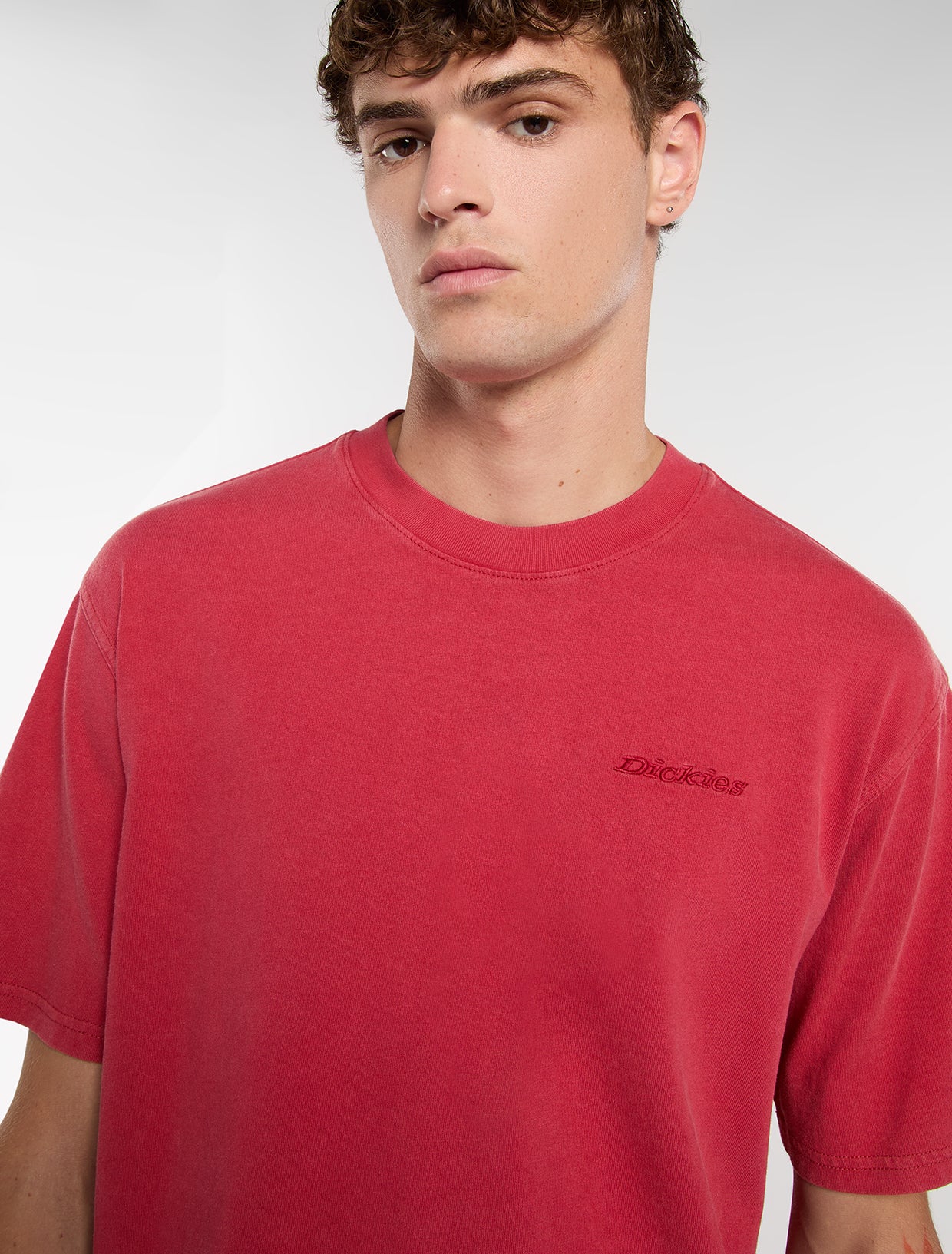DICKIES Plentywood TEE