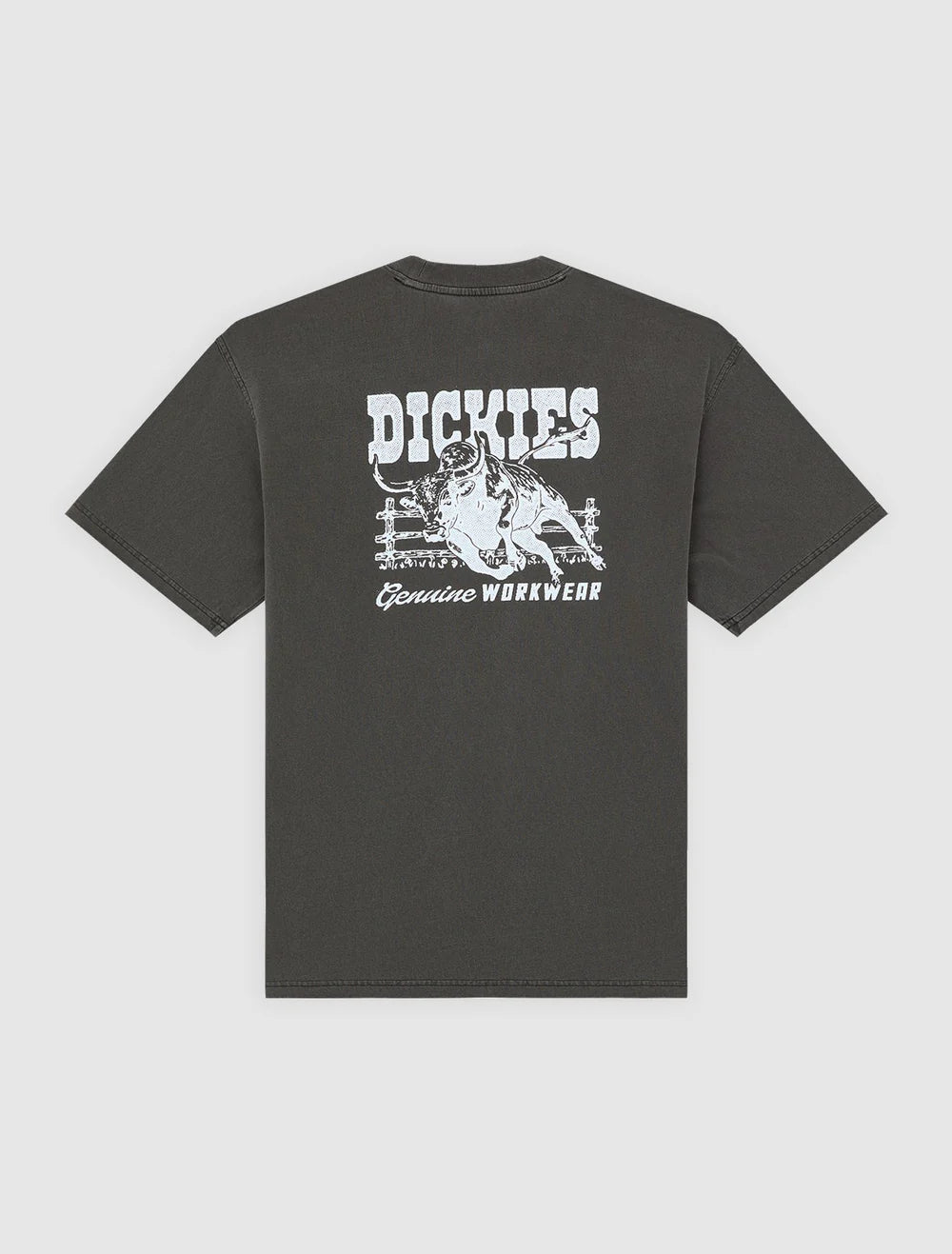 DICKIES Buchtell SS TEE