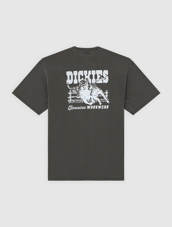 DICKIES Buchtell SS TEE