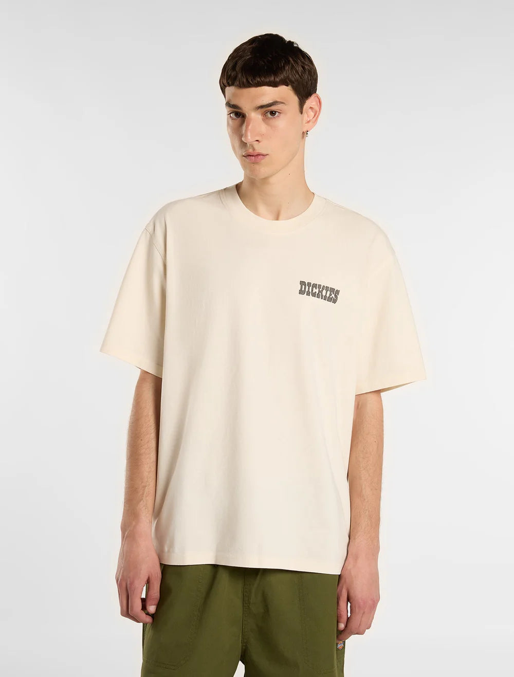 DICKIES Buchtell SS TEE