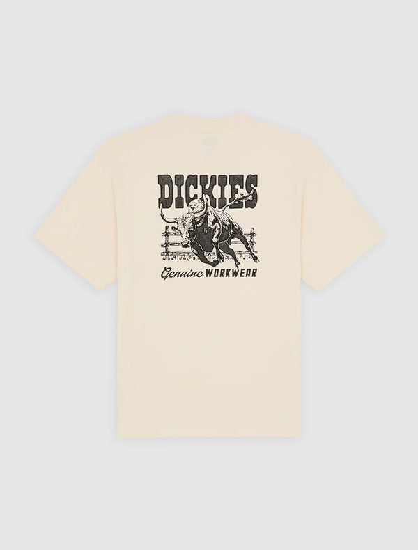 DICKIES Buchtell SS TEE