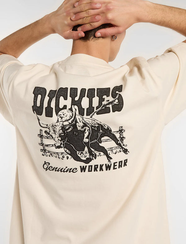 DICKIES Buchtell SS TEE