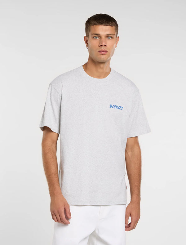 DICKIES DRY Ridge SS TEE