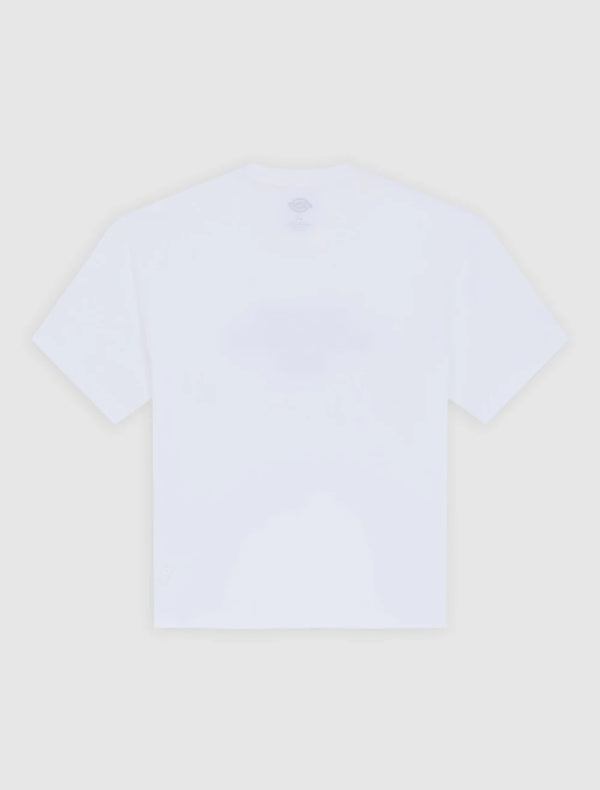 DICKIES Torrey SS TEE