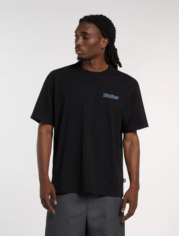 DICKIES Fairlawn SS TEE