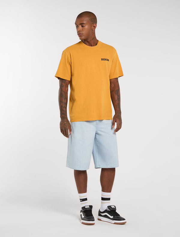 DICKIES 958 13 Inch Loose Short Jeans