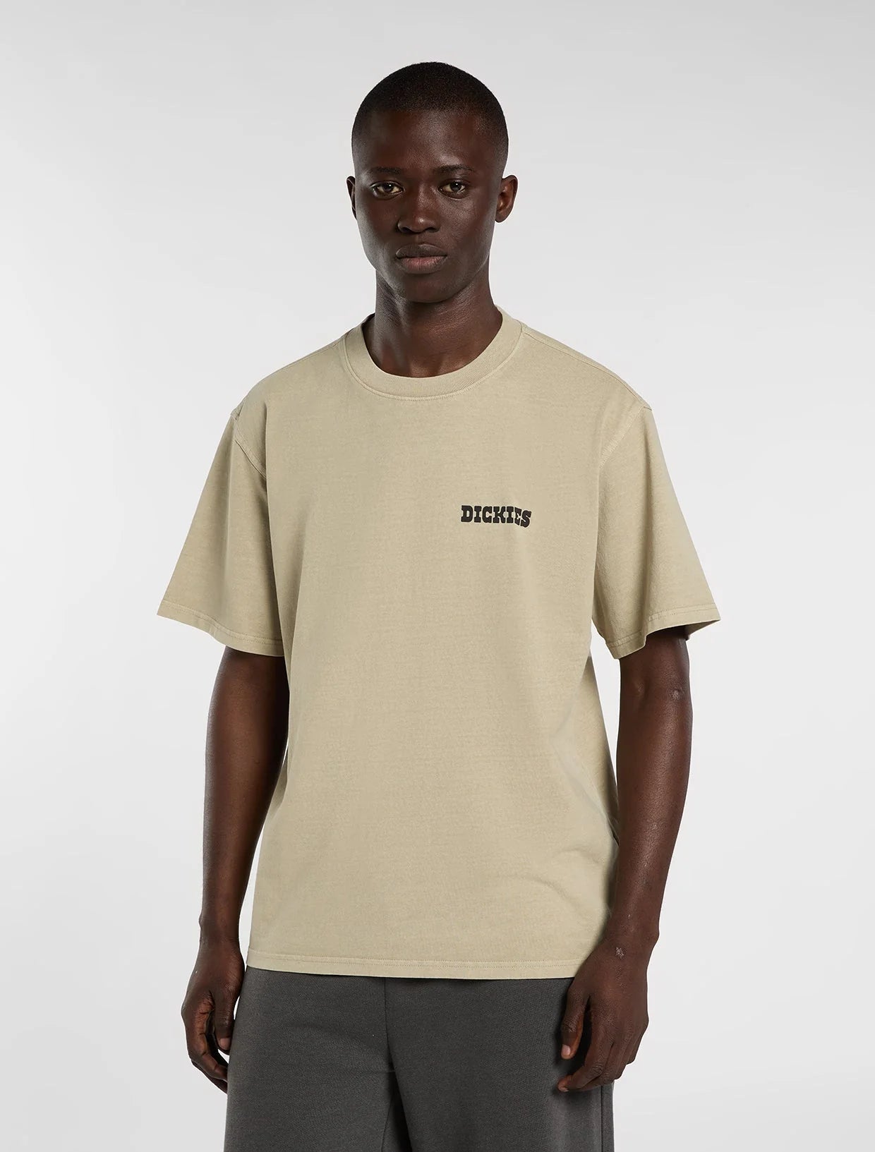 DICKIES Darrtown SS TEE