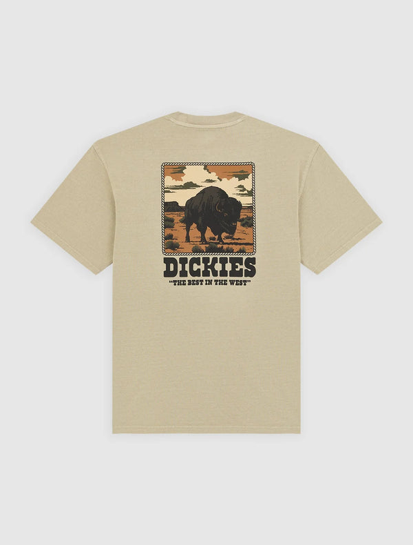 DICKIES Darrtown SS TEE