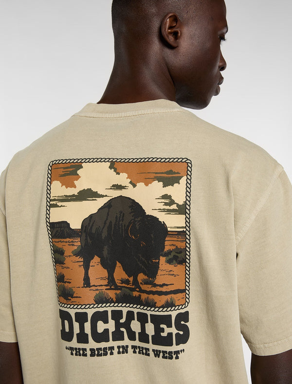 DICKIES Darrtown SS TEE