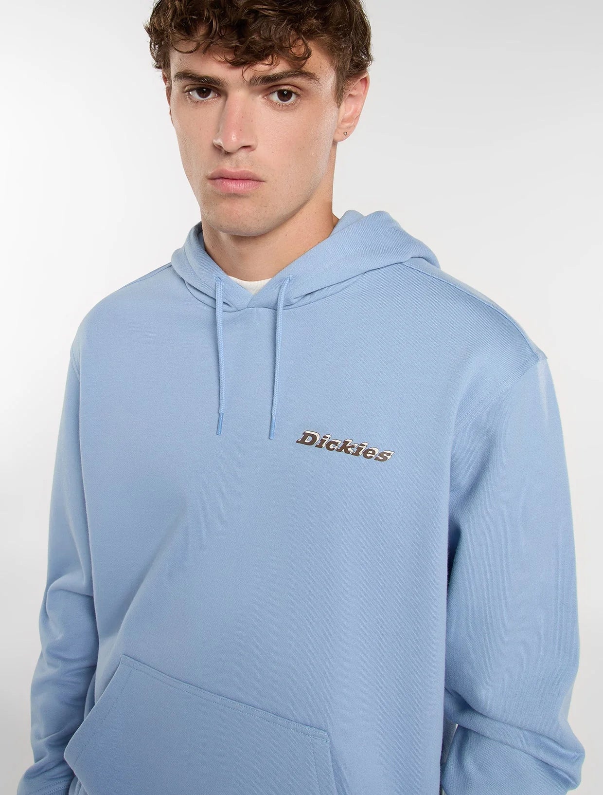 DICKIES Thornville Hoodie