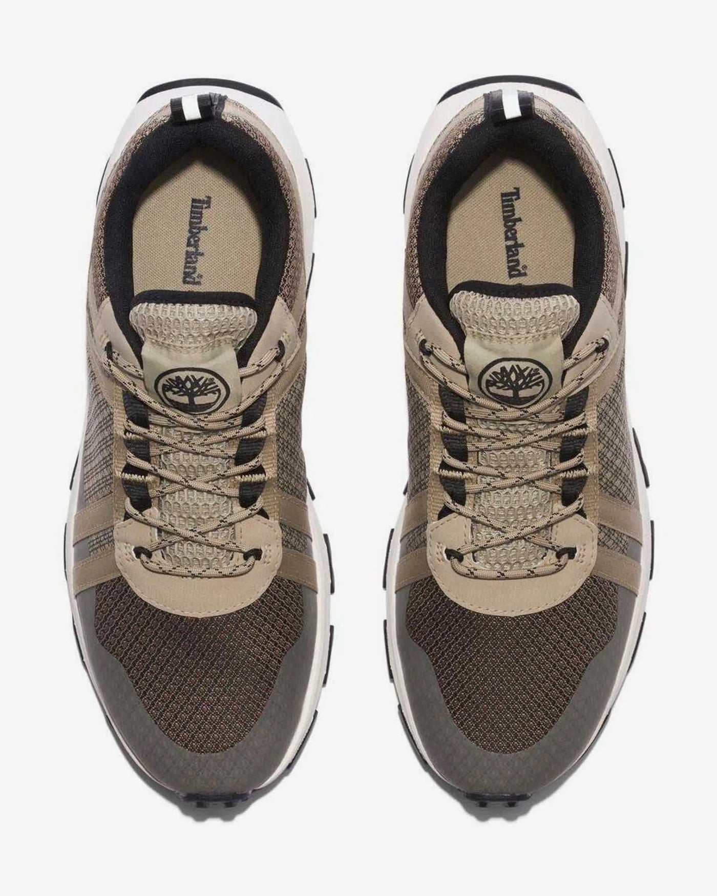 TIMBERLAND Winsor Trail LOW Lace UP Sneaker